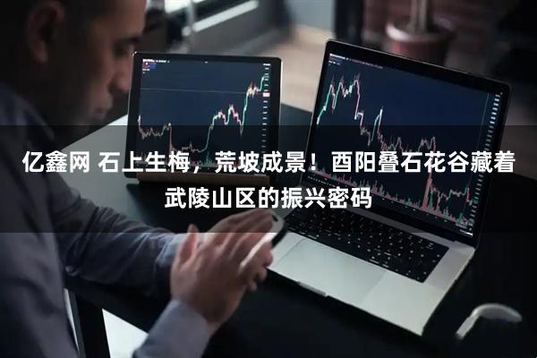 亿鑫网 石上生梅，荒坡成景！酉阳叠石花谷藏着武陵山区的振兴密码
