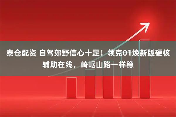 泰仓配资 自驾郊野信心十足！领克01焕新版硬核辅助在线，崎岖山路一样稳